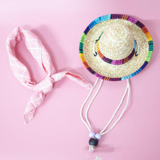 Summer Adventure Pet Accessory Set