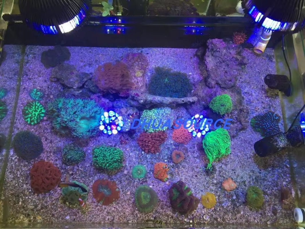 Full Specturm LED Aquarium Reef Light Grow Lamp Fish Tank Bulb for Coral Fish Saltwater Nanotank Plant SPS LPS