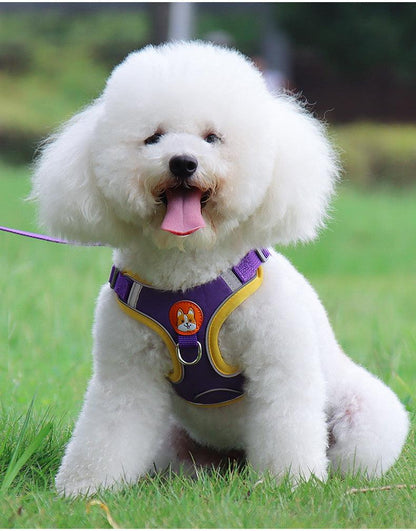 Ultimate Comfort And Safety Pet Harness Set