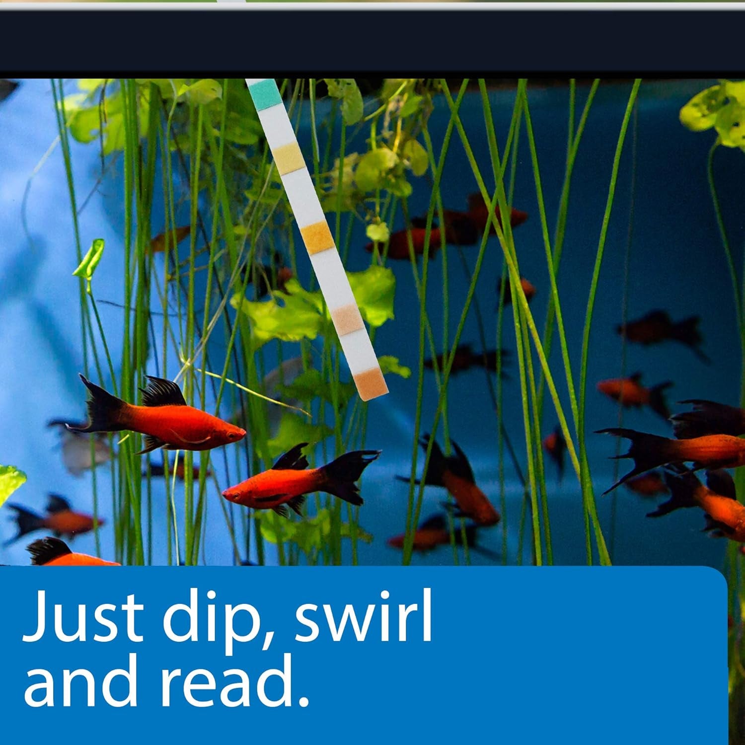 5-IN-1 TEST STRIPS Freshwater and Saltwater Aquarium Test Strips 100-Count Box