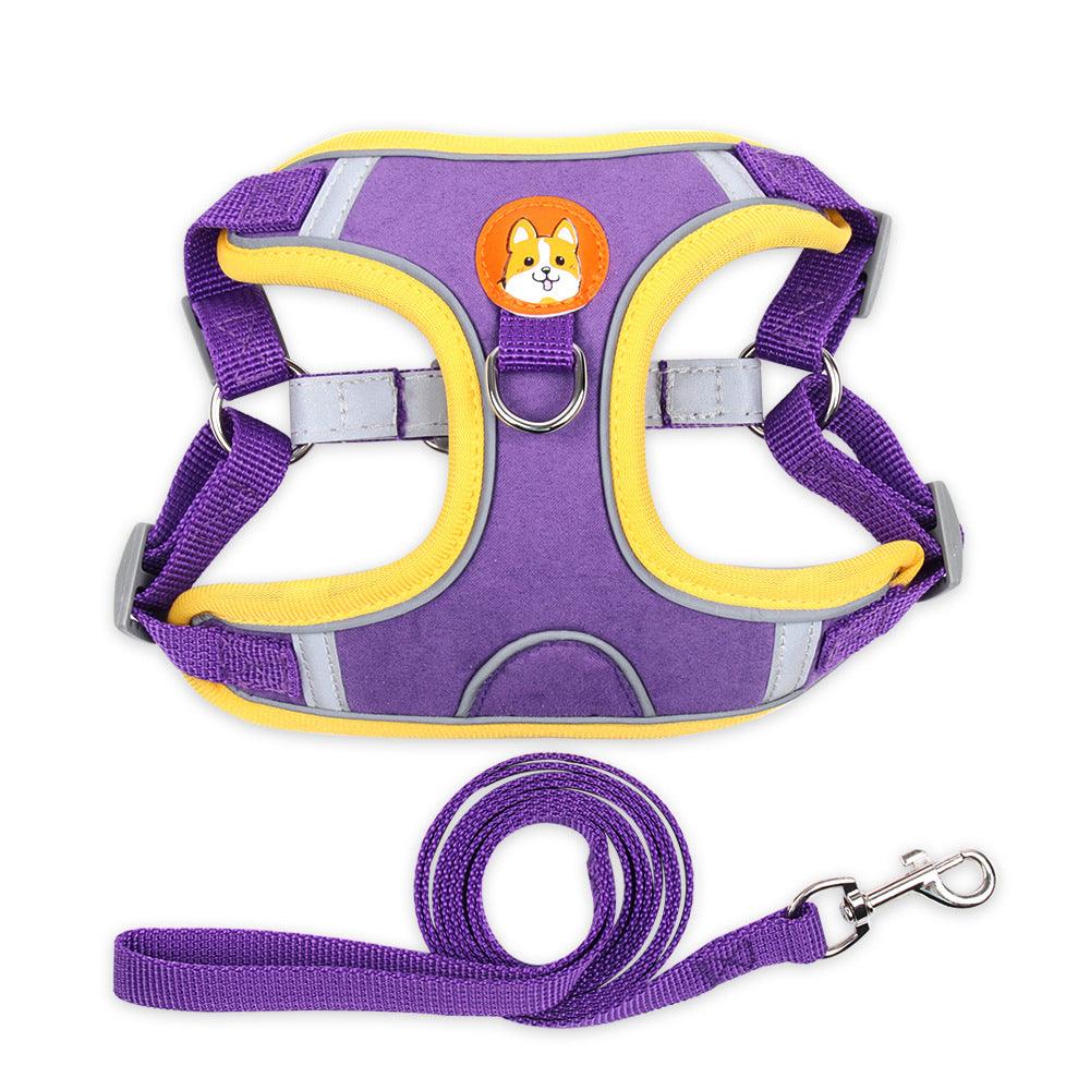 Ultimate Comfort And Safety Pet Harness Set