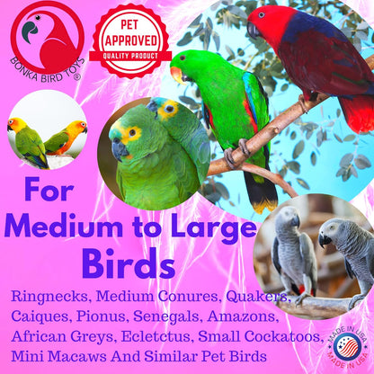 1730 Foraging Valentine Heart Medium - 9” X 6” - for Conures, Cockatiels, Parakeets, and Similar Breeds