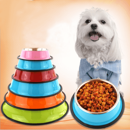 Pet Paradise Dual-Use Stainless Steel Pet Bowl