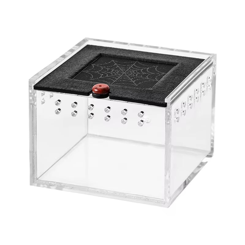 Pet Spider Box Reptile Crawling Pet Feeding Lizard Silkworm Baby Scorpion Unicorn Beetle Insect Pet House Black Acrylic Box