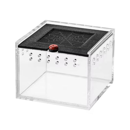 Pet Spider Box Reptile Crawling Pet Feeding Lizard Silkworm Baby Scorpion Unicorn Beetle Insect Pet House Black Acrylic Box