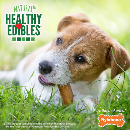 Healthy Edibles Natural Dog Chews Long Lasting Bacon Flavor Treats for Dogs, Small/Regular (3 Count)