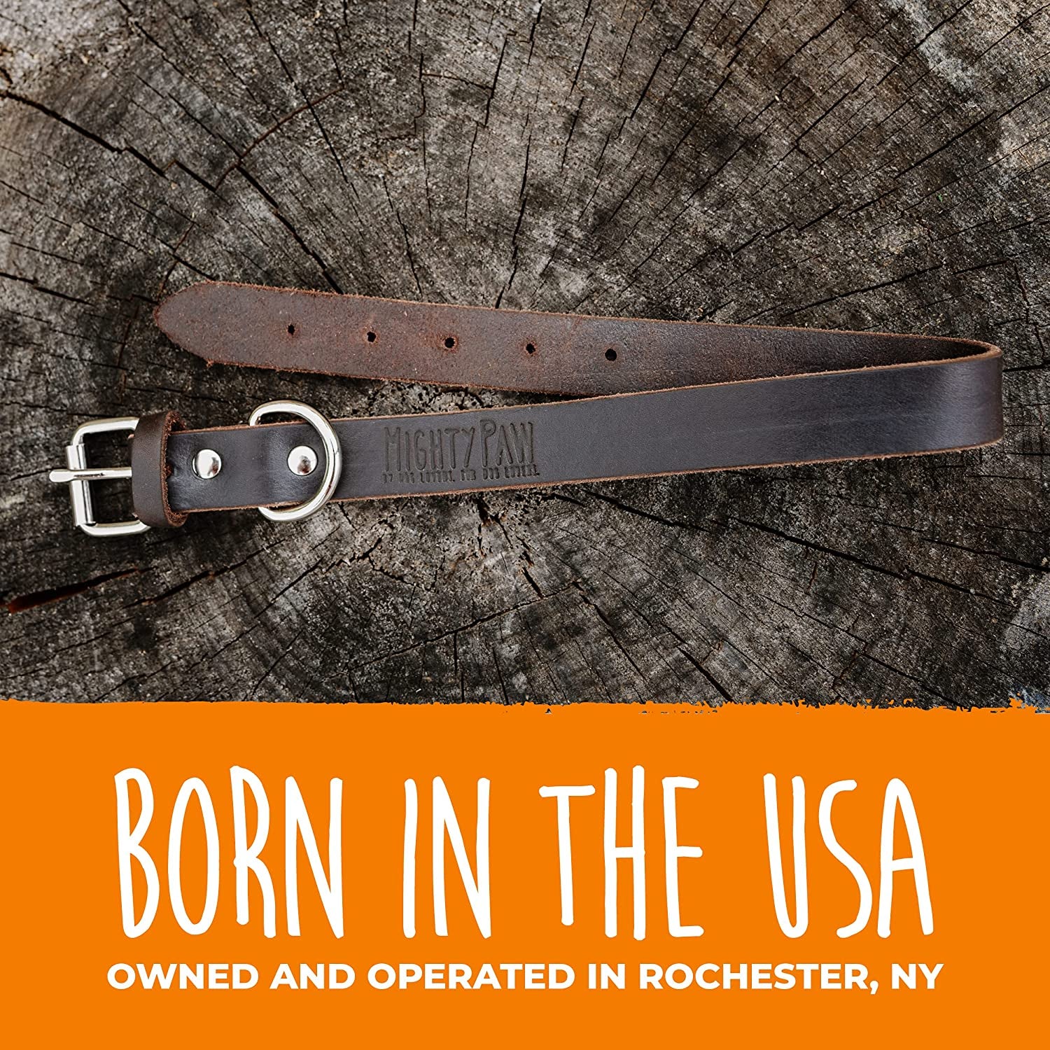 Leather Dog Collar - Genuine Distressed Leather - Strong Metal Buckle - Ultimate Comfort - Modern Style for All Dogs Breeds - Comfort Puppy Collar - (Medium - Brown)