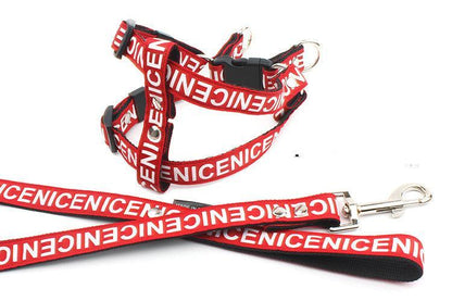 Adventure Paws Nylon Pet Leash And Collar Set