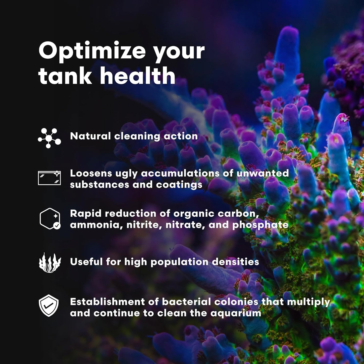Microbacter Clean - Microbial Culture & Enzyme Blend Fish Tank Cleaner - Cleans Live Rock Surfaces for Saltwater Fish Habitats - Aquarium Water Treatments, 16.9 Fl Oz