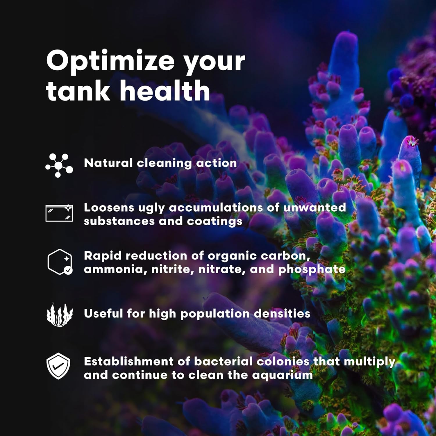 Microbacter Clean - Microbial Culture & Enzyme Blend Fish Tank Cleaner - Cleans Live Rock Surfaces for Saltwater Fish Habitats - Aquarium Water Treatments, 16.9 Fl Oz