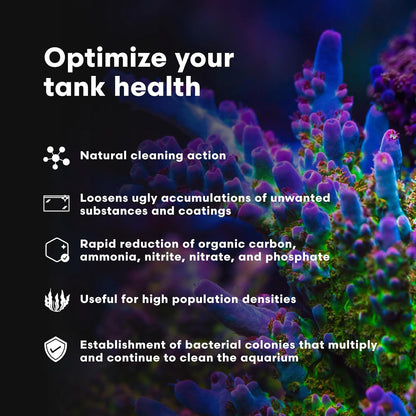 Microbacter Clean - Microbial Culture & Enzyme Blend Fish Tank Cleaner - Cleans Live Rock Surfaces for Saltwater Fish Habitats - Aquarium Water Treatments, 16.9 Fl Oz
