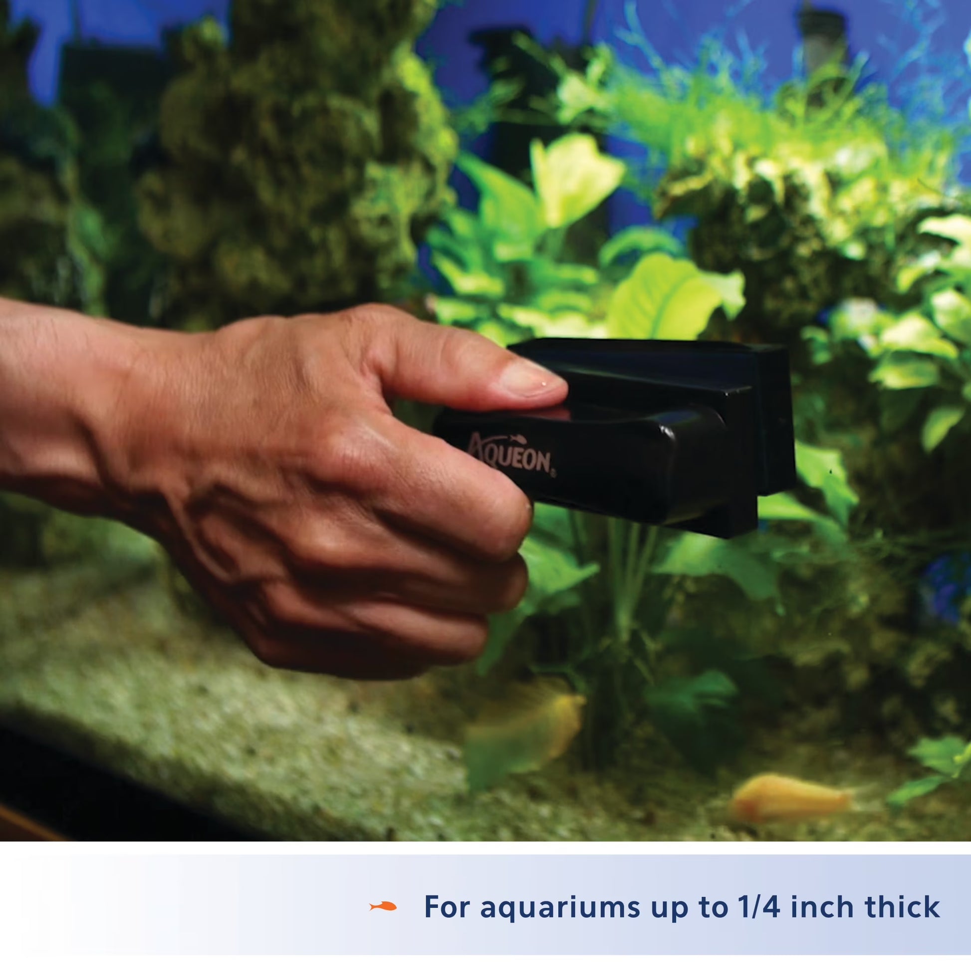 Aquarium Algae Cleaning Magnets Glass/Acrylic Small