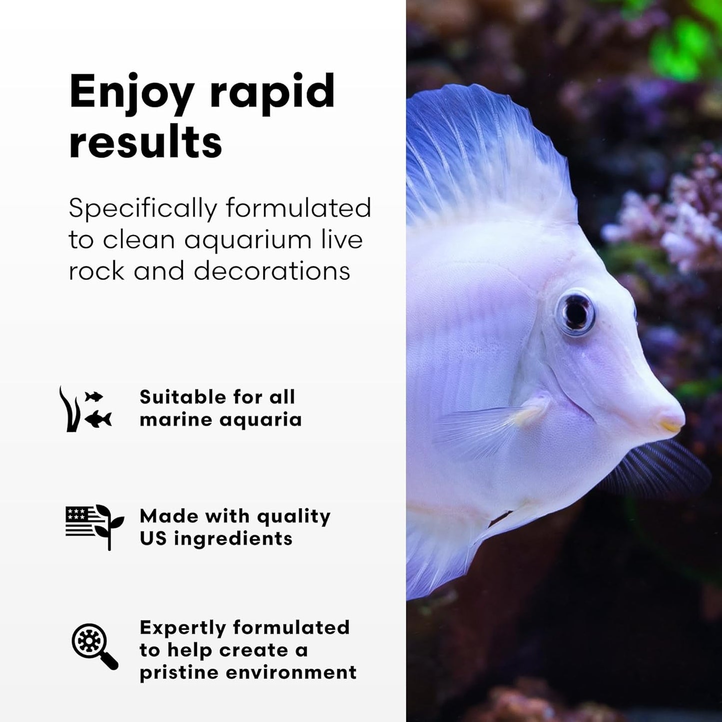 Microbacter Clean - Microbial Culture & Enzyme Blend Fish Tank Cleaner - Cleans Live Rock Surfaces for Saltwater Fish Habitats - Aquarium Water Treatments, 16.9 Fl Oz