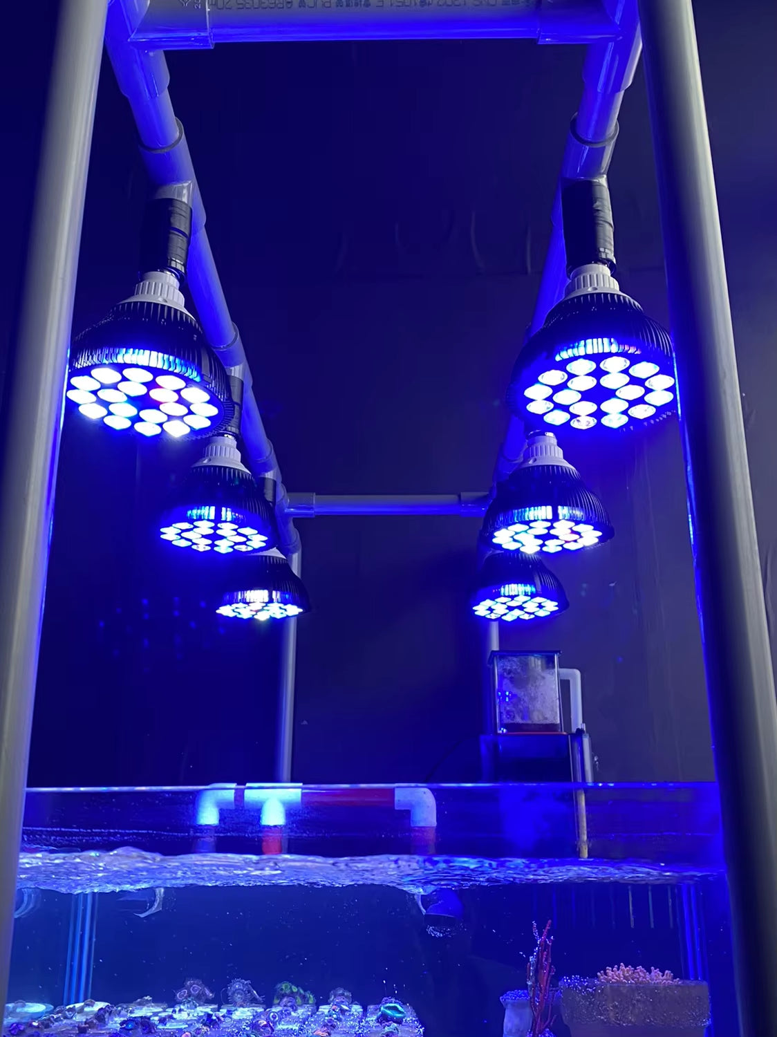 Full Specturm LED Aquarium Reef Light Grow Lamp Fish Tank Bulb for Coral Fish Saltwater Nanotank Plant SPS LPS