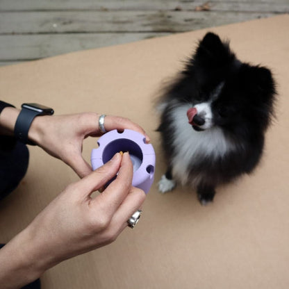 Pet Playtime Set